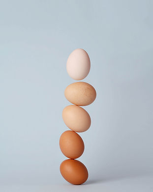 Different Shades of Eggs