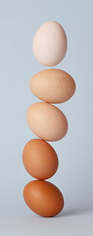 Different Shades of Eggs