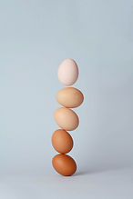 Different Shades of Eggs