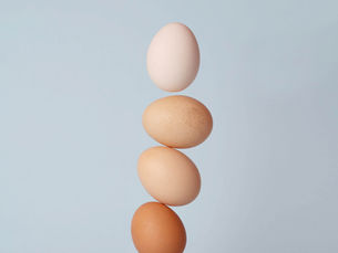 Using Eggshells for Protection