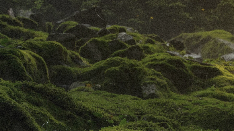 The Fearless Feminine Offerings (Website) (2).png
