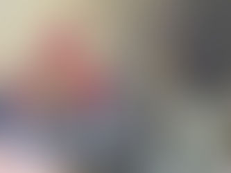 УКРАЇНСЬКІ МИТНИКИ ВИЛУЧИЛИ НА КОРДОНІ ТВОРИ ЄВРОПЕЙСЬКИХ МИТЦІВ НА СУМУ ПОНАД МІЛЬЙОН ГРИВЕНЬ