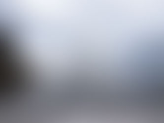 LOUVRE & SOTHEBY’S ПЕРЕВІРЯТЬ ПРОВЕНАНС РОБІТ НАБУТИХ У ПЕРІОД ДРУГОЇ СВІТОВОЇ