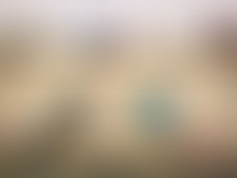 КЕРАМІЧНИЙ БЕСТІАРІЙ У ЦЕНТРІ МОНАКО: УКРАЇНСЬКИЙ ВКЛАД У ЄВРОПЕЙСЬКЕ МИСТЕЦТВО