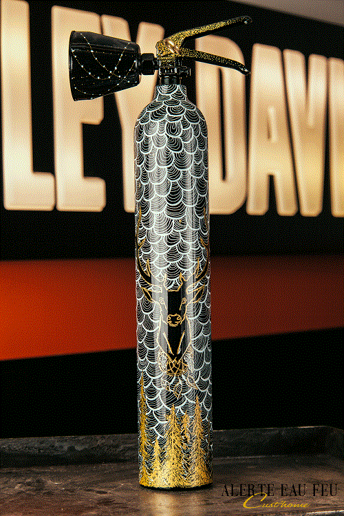 ALERTE EAU FEU - Extincteur Design - CERF