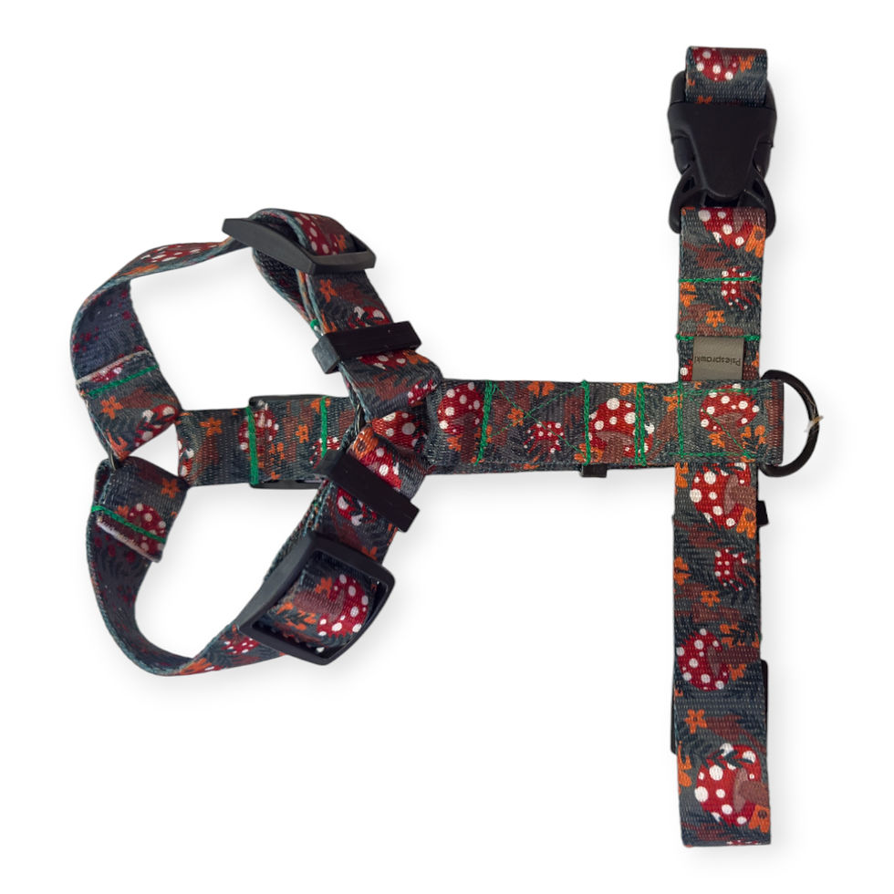 Szelki Guard we wzorze "Forest mystery"