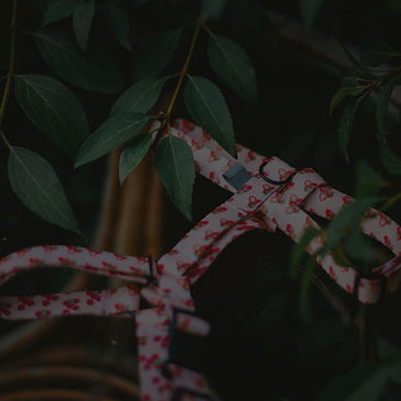 Szelki Guard we wzorze strawberry