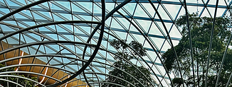 Indoor tropical garden at Hamad International Airport in Doha, Qatar, featuring lush greenery and modern airport design.