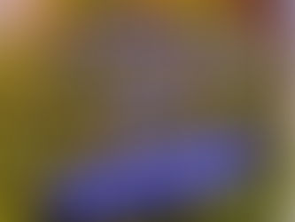 Ep 14: How Your Support Circle Helps You Manifest Dreams