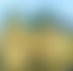 Explore Le Marais and Montmarte