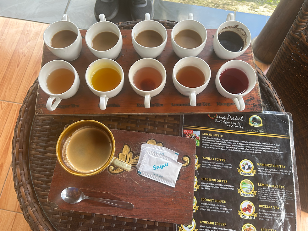 Tasting flight of coffee and tea samples in small cups at a coffee plantation in Bali, Indonesia
