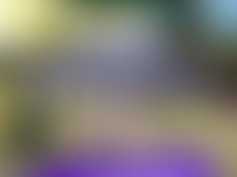 Episode 8: Time-Bound for Motivation