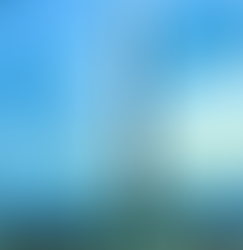 Take a tour of Paris