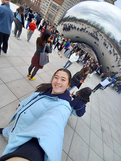 bean
