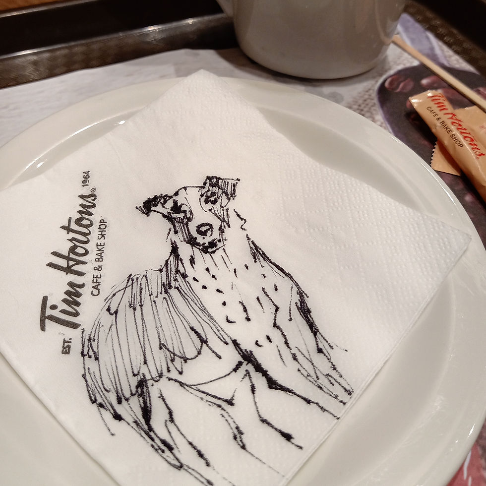 Tim hortans sketch