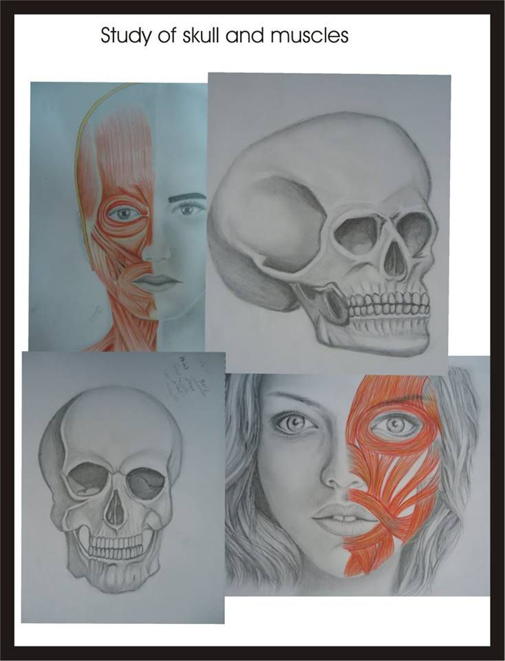 Sketchbook