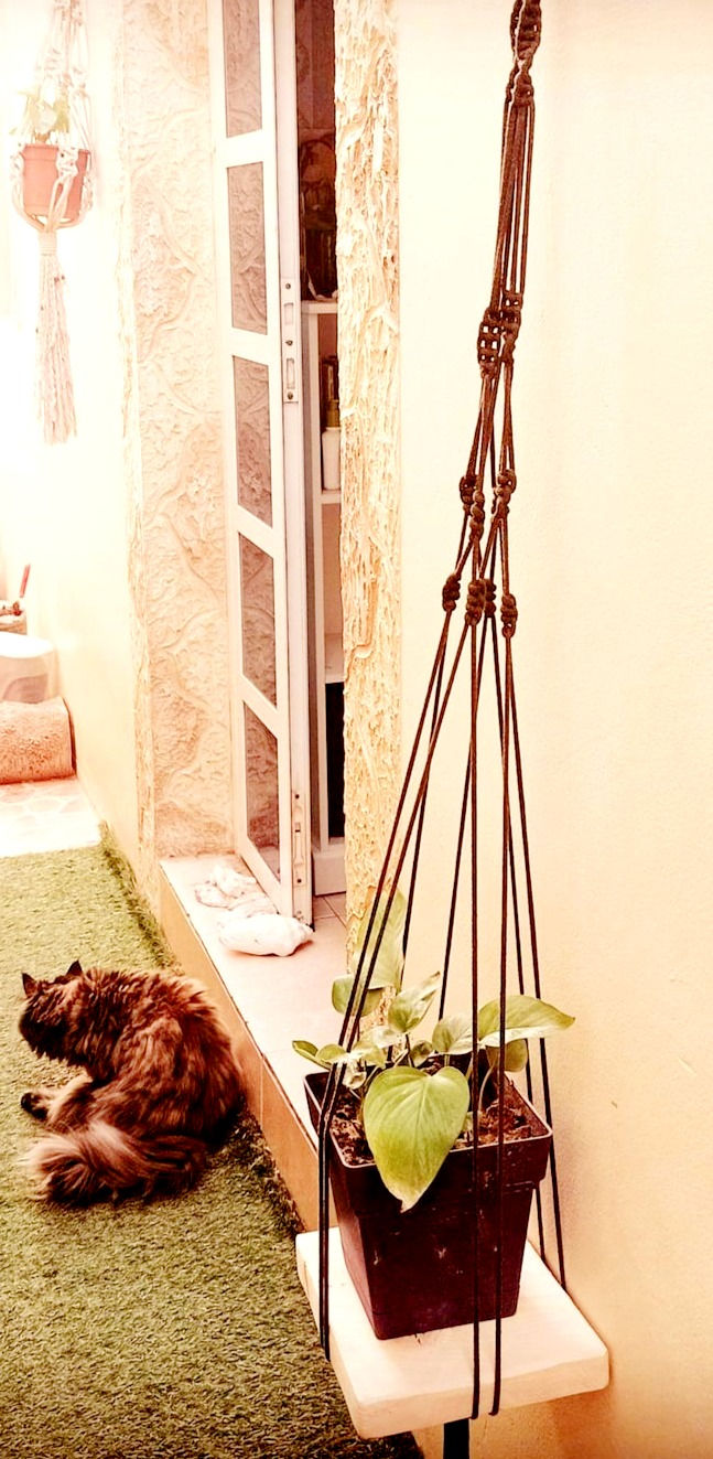Wallshelf