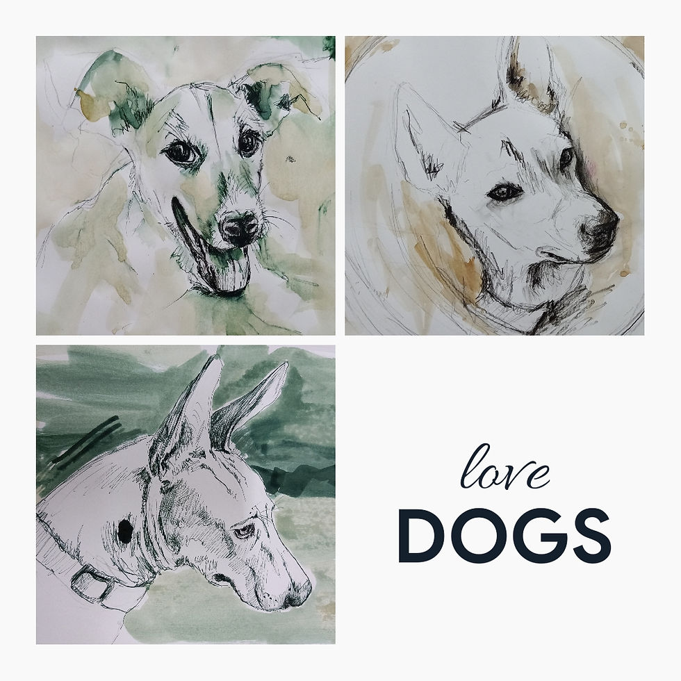 Dogs