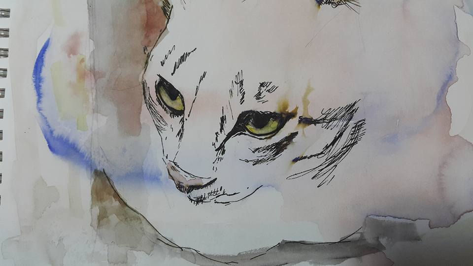 Feline friend