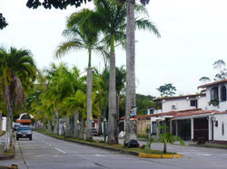 Urb. La Lagunita