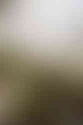 Details Taflo, Steirereck am Pogusch, Hochzeit, Bride and Groom Portrait, Brautpaarshooting