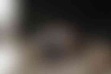 Details Taflo, Steirereck am Pogusch, Hochzeit, Bride and Groom Portrait, Brautpaarshooting