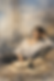 ChatGPT Image 9. Feb. 2026, 10_00_55.png