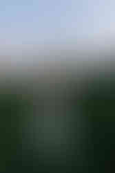 Hochzeit in der Schweiz am Genfersee, Gilly, Destinationwedding Switzerland, Julia Tukovics Fotografie, Bridalportrait