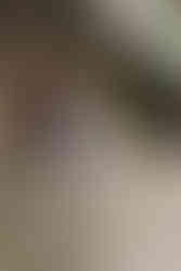 Hochzeit in der Schweiz am Genfersee, Gilly, Destinationwedding Switzerland, Julia Tukovics Fotografie, Father and daughter entry, Weddingceremony