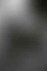 Hochzeit in der Schweiz am Genfersee, Gilly, Destinationwedding Switzerland, Julia Tukovics Fotografie, Get together