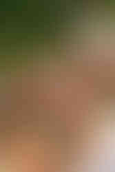 Hochzeit in der Schweiz am Genfersee, Gilly, Destinationwedding Switzerland, Julia Tukovics Fotografie, Gratulationen und Agape