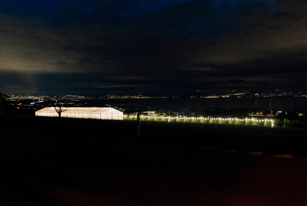 Hochzeit in der Schweiz am Genfersee, Gilly, Destinationwedding Switzerland, Julia Tukovics Fotografie, Bride and Groom, Hochzeitsfeier