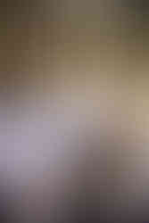 Details Taflo, Steirereck am Pogusch, Hochzeit, Bride and Groom Portrait, Brautpaarshooting