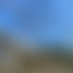 梅香涼亭：寒冬寧靜的角落