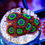 Thumbnail: Emeralds on Fire Zoanthid coral frag with vibrant red skirts, neon green rings, and blue mouths.