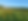 Sunflower Field
