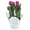 Miniatura: Tulips