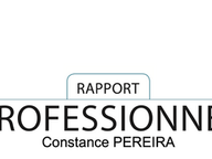 Les différents rapports EQ-i