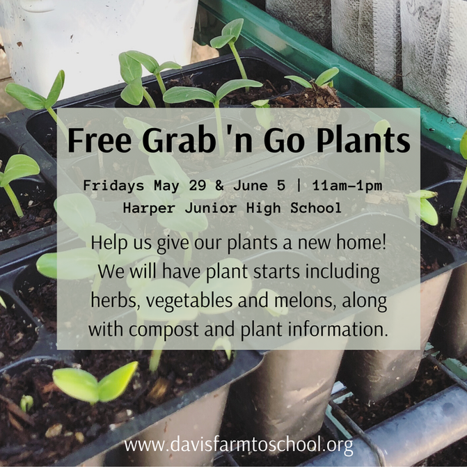 Free Grab 'n Go Plants on 05/29 and 06/05!