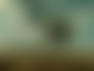 The Relationship Between Money and Motivation: Does it Really Work?