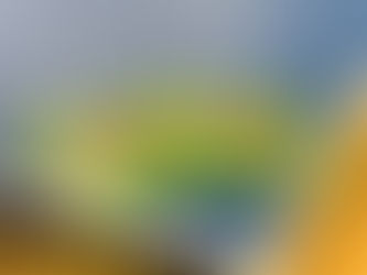 【新登場!androラバー ラザンターR48】