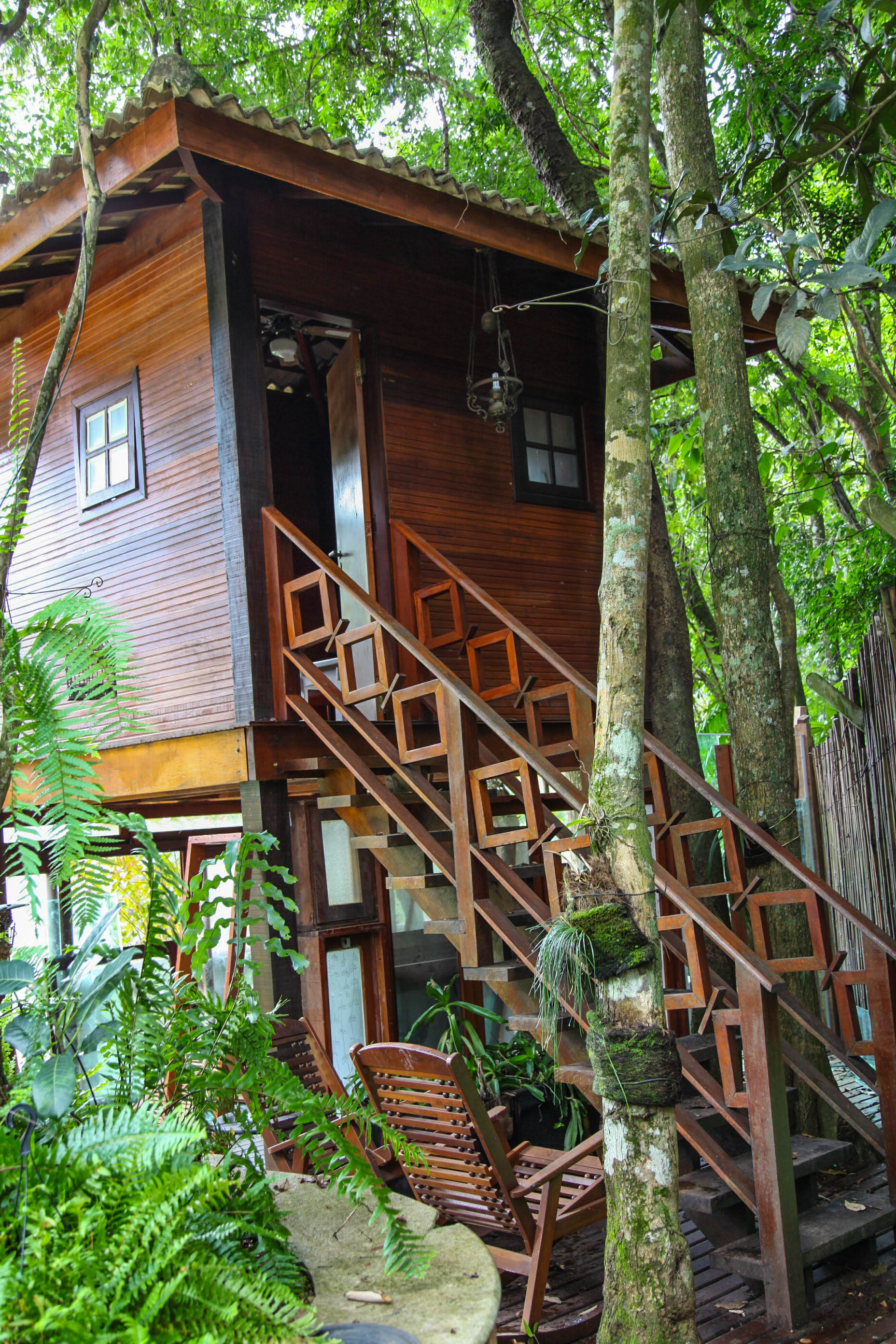 casa da árvore