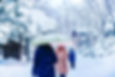 Visitors strolling through a snowy Japanese shrine, capturing the serene beauty of winter landscapes.