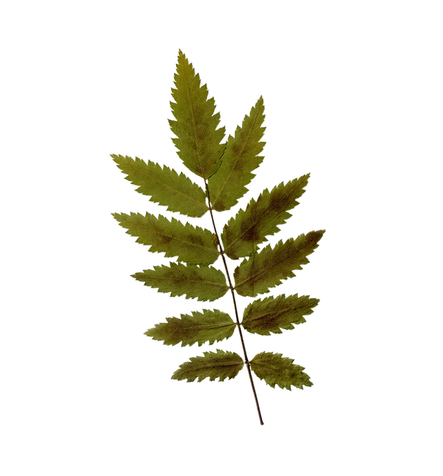 feuille 1
