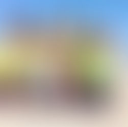 Les Magic Disc remportent le tournoi international du Yes But Nau