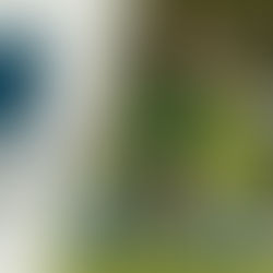 MAGIC CUT #1 - Découvrez le portrait de... Laurène Turpin