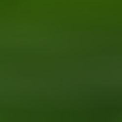 [COVID-19] Les Magic Disc vont reprendre les entraînements en semaine