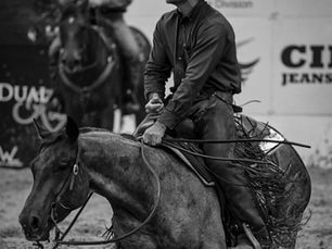 Cutting Horse