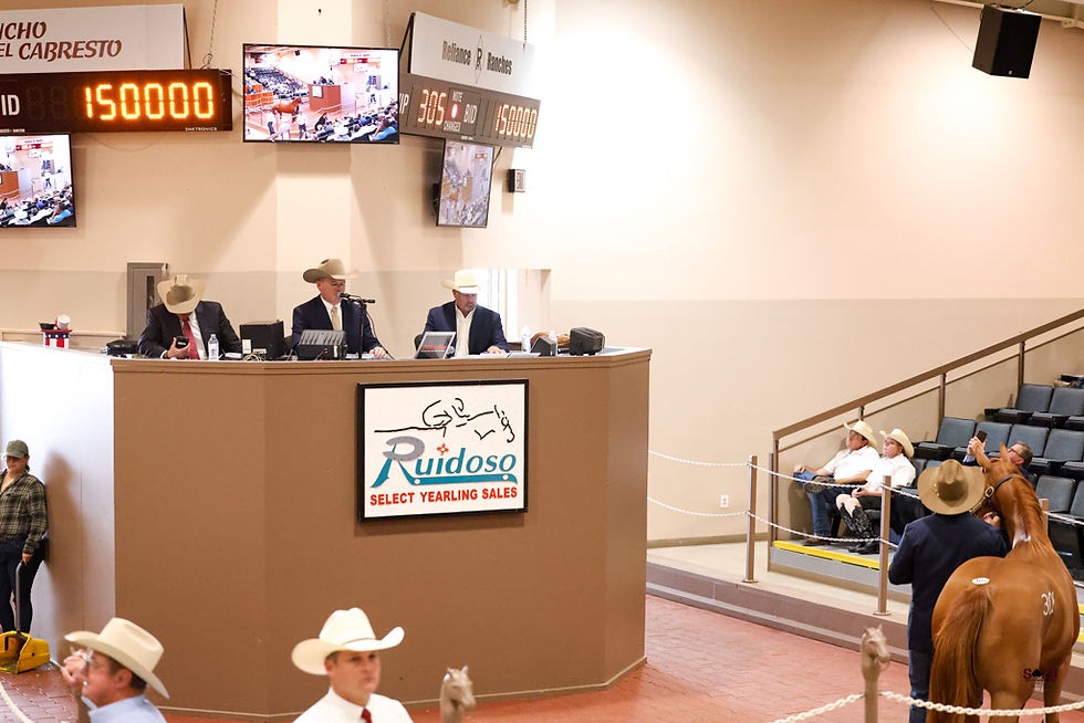 Solo Select’s yearling consignments grossed $2,423,000 in total sales at the 2025 Ruidoso Select Yearling Sale, Aug. 29-30 at Ruidoso Downs, New Mexico,
