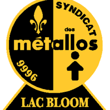 Le Syndicat des Métallos section locale 9996